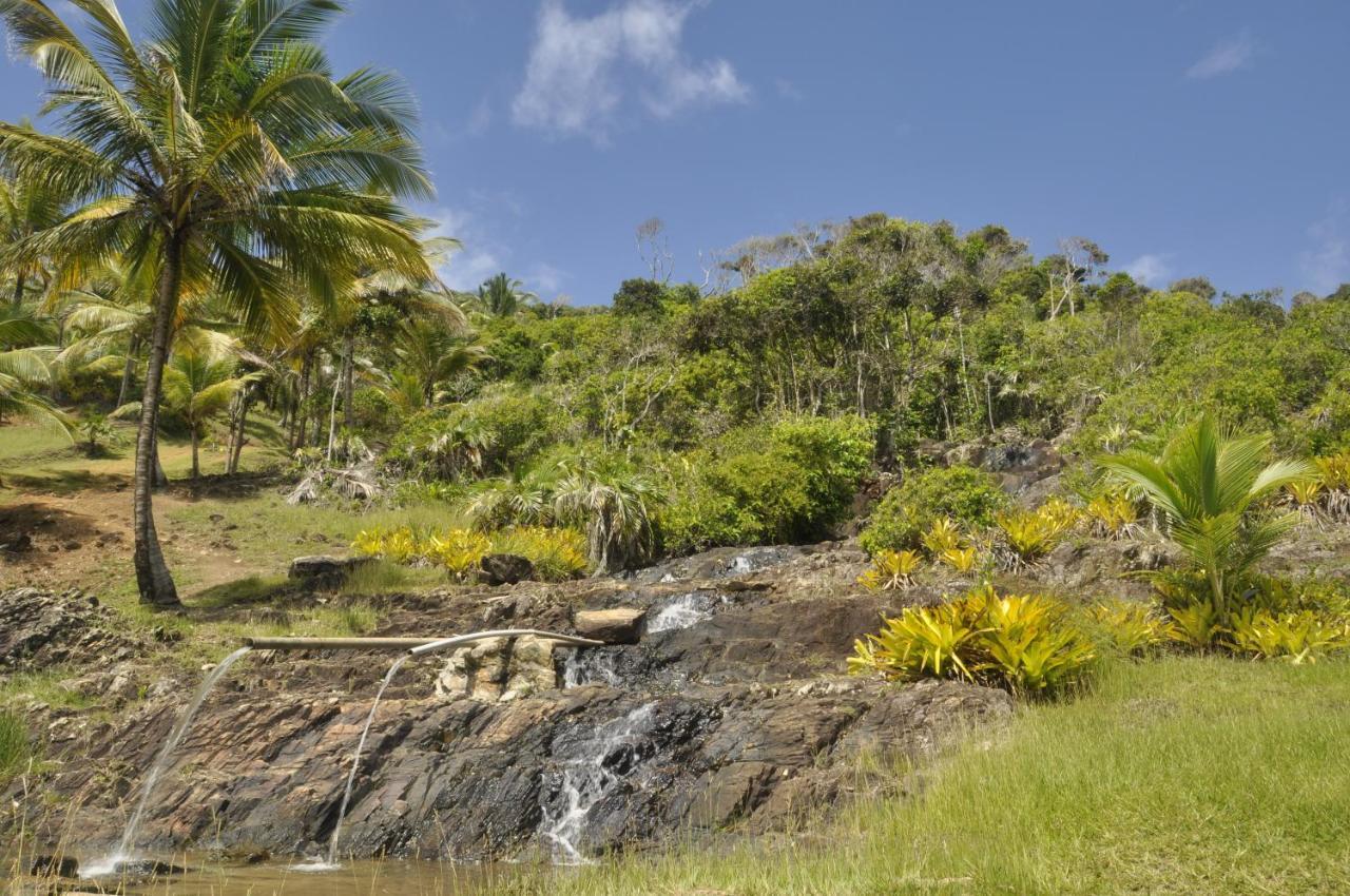Recanto Dos Dendes Chales Serra Grande  Eksteriør bilde