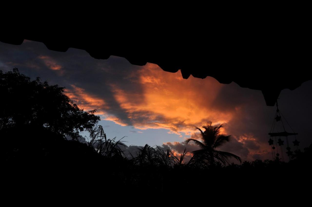Recanto Dos Dendes Chales Serra Grande  Eksteriør bilde